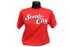 Chattanooga Lookouts Youth Scenic City Softstyle Tee