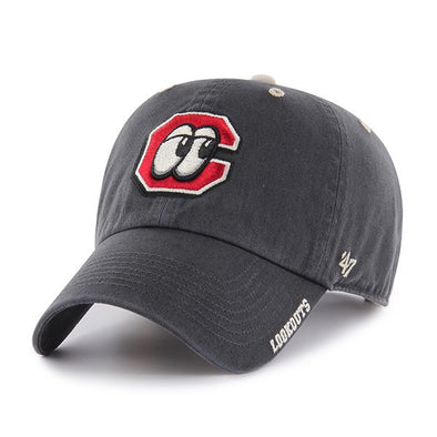 Chattanooga Lookouts Ice 47